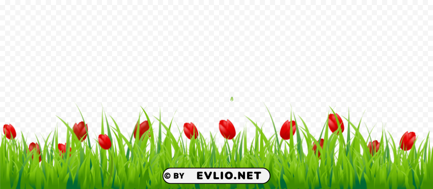 grass Clear PNG pictures package