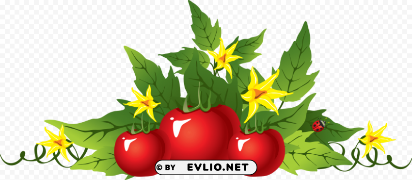 red tomatoes Isolated Graphic Element in Transparent PNG