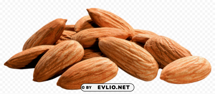 almonds PNG Image with Isolated Artwork