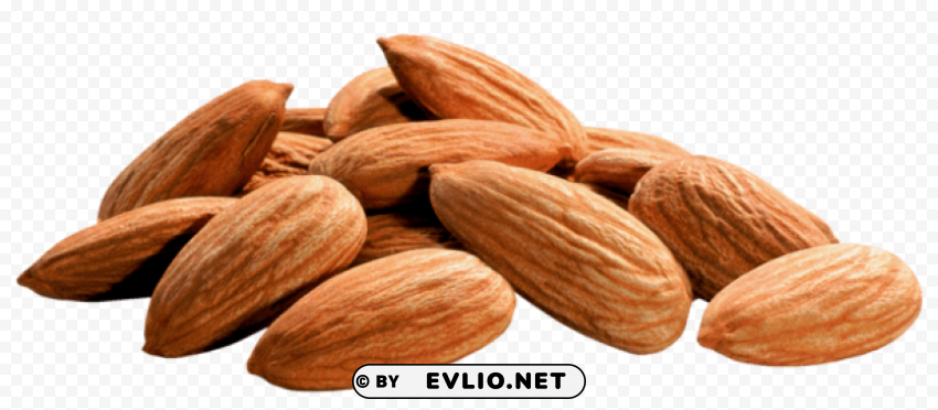 Almonds PNG Image With Isolated Artwork