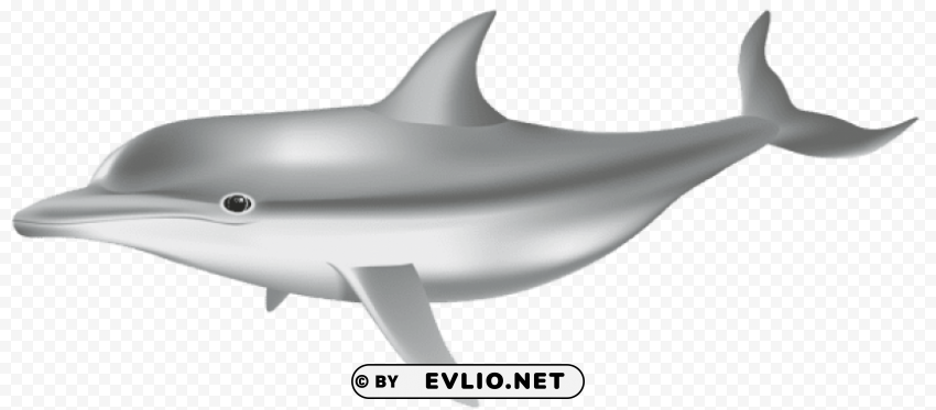 dolphin Isolated Element in Transparent PNG