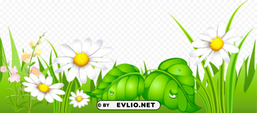 grass with daisies ground Isolated Graphic on HighResolution Transparent PNG