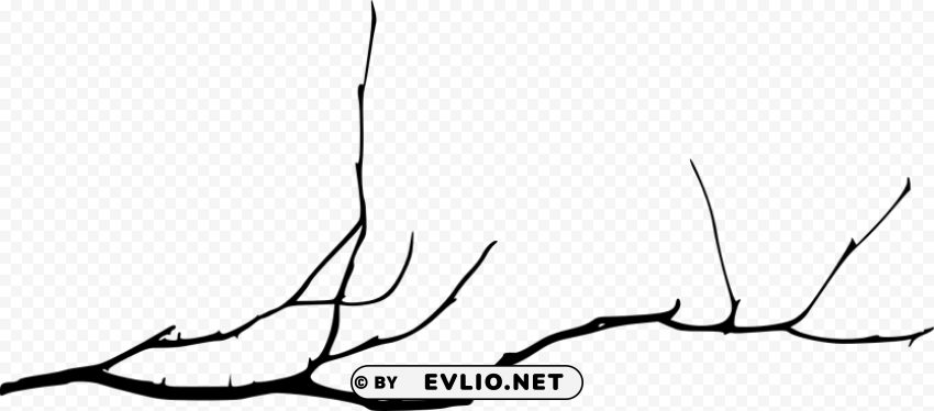 Transparent simple tree branch Isolated Element with Transparent PNG Background PNG Image - ID 24463650