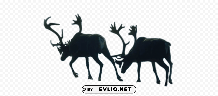 two walking reindeer caribou PNG transparent images for printing