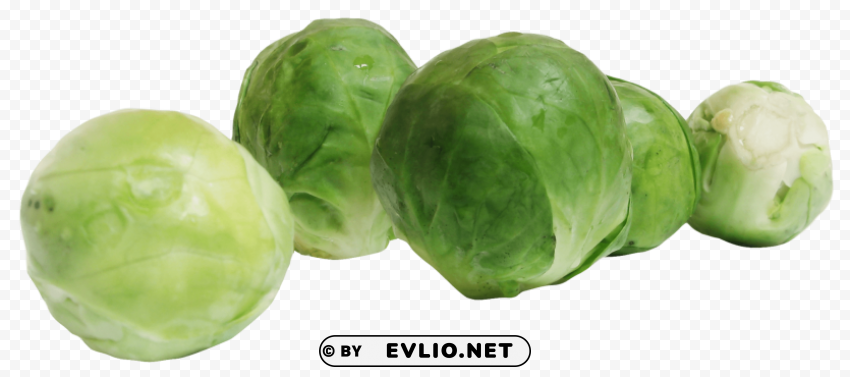 brussels sprouts Isolated Subject in HighResolution PNG