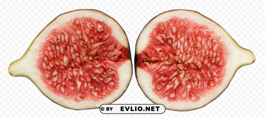 Fig PNG for overlays png - Free PNG Images ID b5bcb7f6