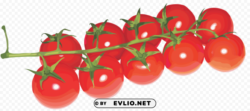 red tomatoes ClearCut PNG Isolated Graphic