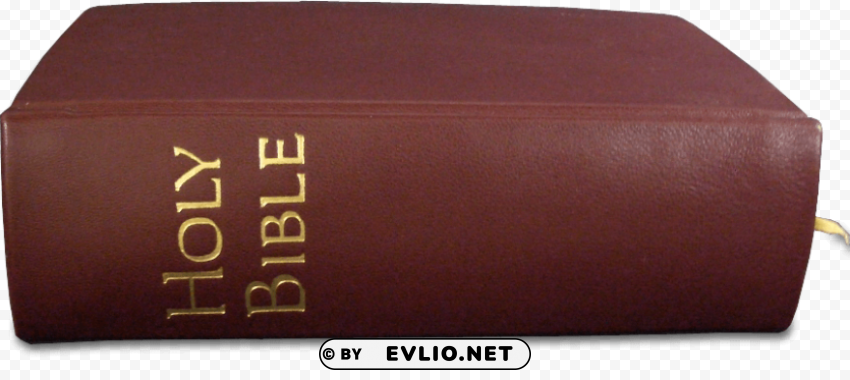 Holy Bible Side View - Image ID 0f05de50 Clear PNG graphics free