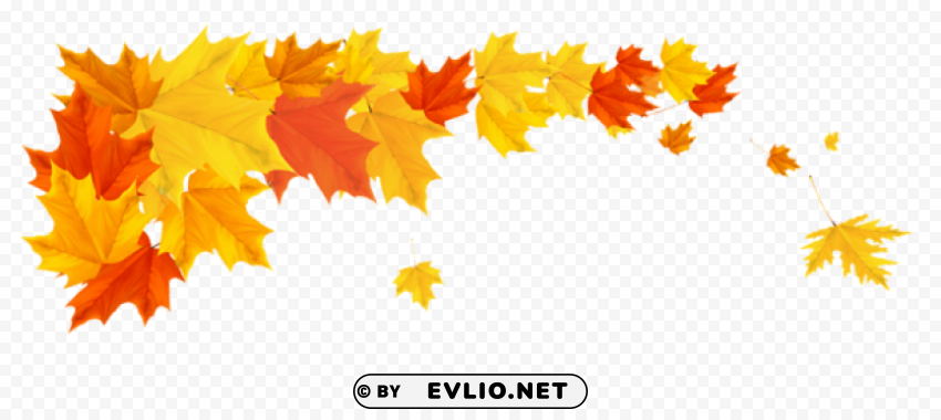 orange fall leafspicture Transparent Background PNG Isolated Icon