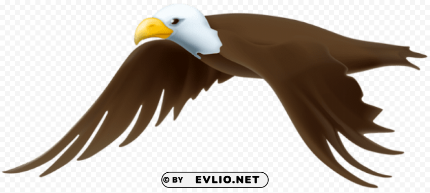 eagle HighResolution PNG Isolated on Transparent Background