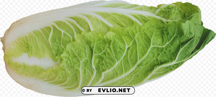 Salad PNG With Isolated Object