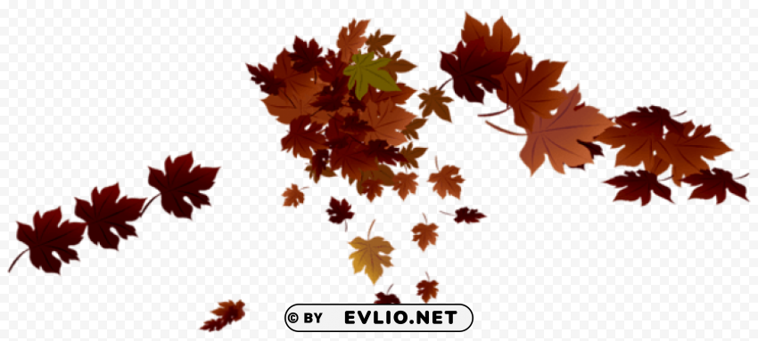  red fall leaves Transparent background PNG photos