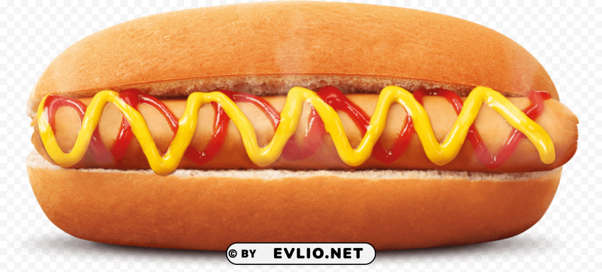 Hot Dog Isolated Graphic Element In Transparent PNG