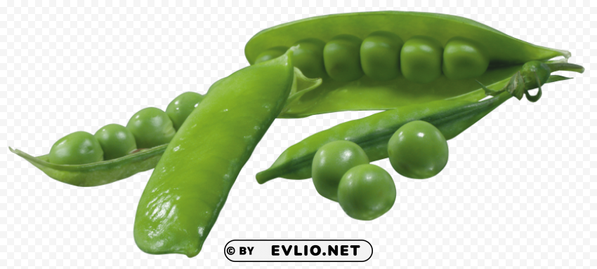 pea PNG Image with Isolated Transparency