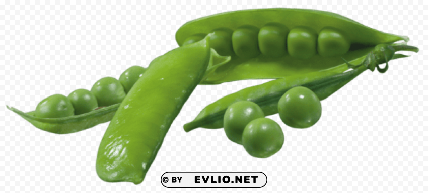pea pods HighQuality Transparent PNG Object Isolation