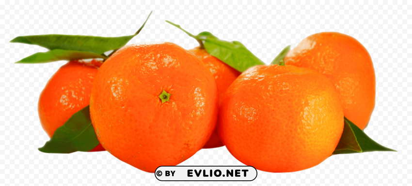 Orange Isolated Subject in Transparent PNG Format
