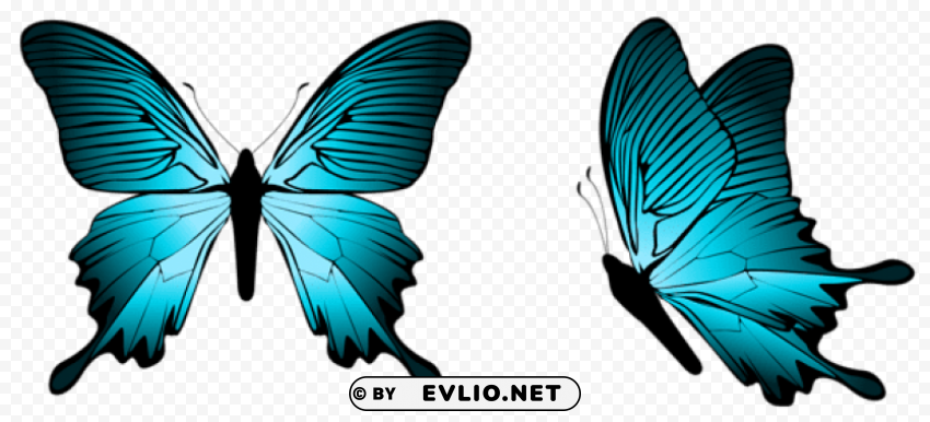 Blue Butterfly PNG Images With Alpha Background