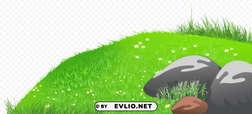 grass with stones and daisiespicture Isolated Subject with Clear PNG Background