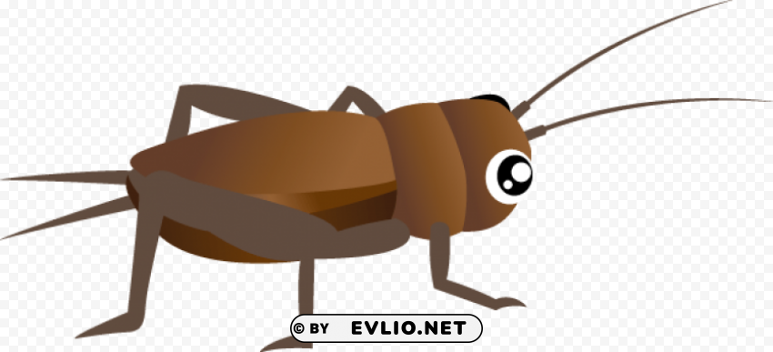 cricket insect clipart PNG free transparent png images background - Image ID 75c237a9