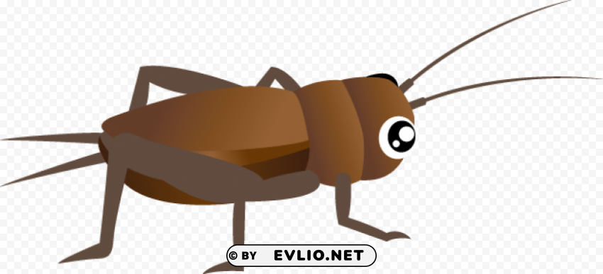 Cricket Insect Clipart PNG Free Transparent