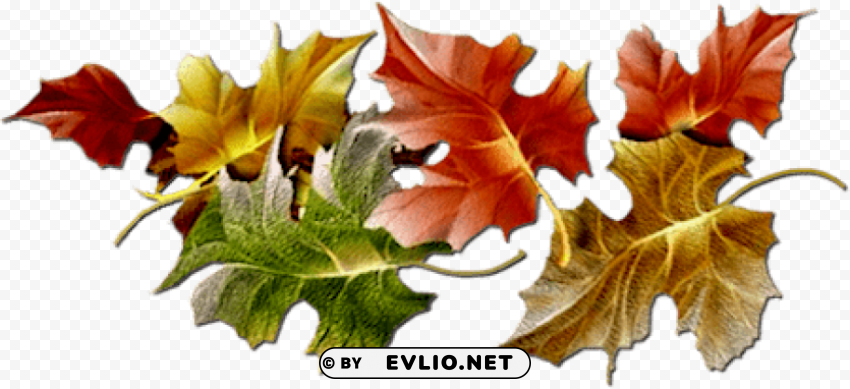 autumn Isolated Subject with Clear PNG Background