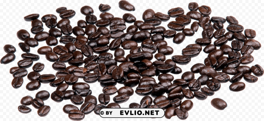 coffee beans Isolated Character in Clear Background PNG