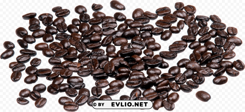 Coffee Beans Isolated Character In Clear Background PNG