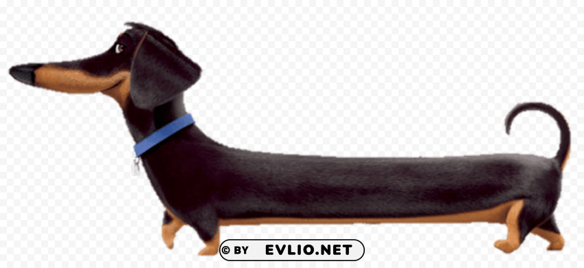 buddy full length PNG Image with Transparent Cutout