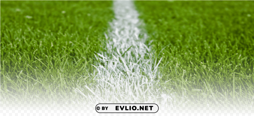 football pitch grass PNG artwork with transparency
