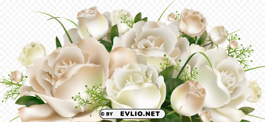 transparent background white roses PNG with alpha channel for download PNG transparent with Clear Background ID f8f42b0e