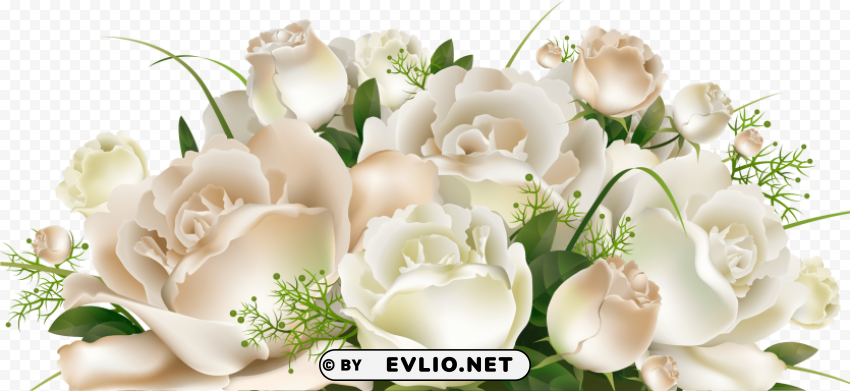 transparent background white roses PNG with alpha channel for download