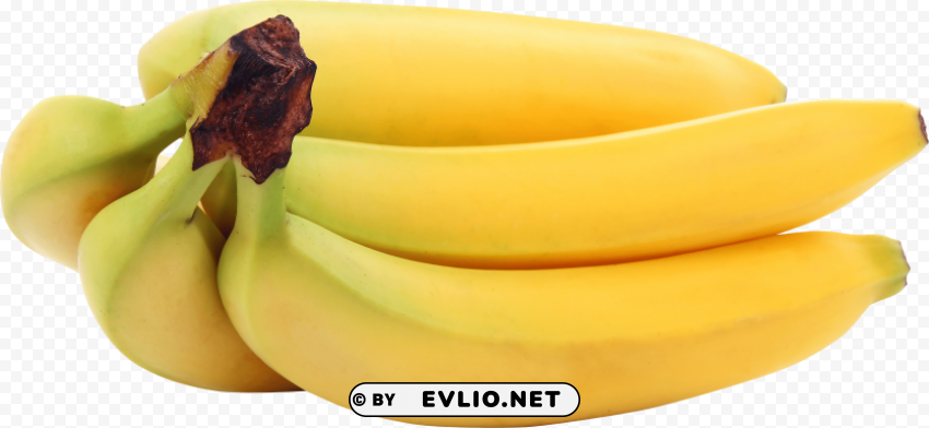 Bananas Transparent PNG Vectors