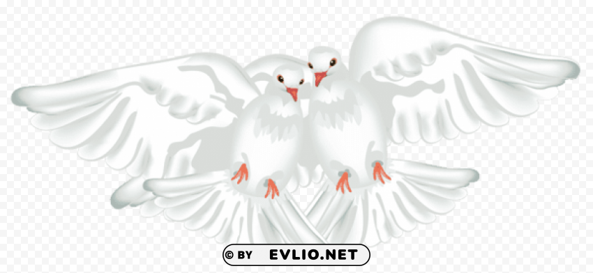white doves transparent Clear background PNG images comprehensive package