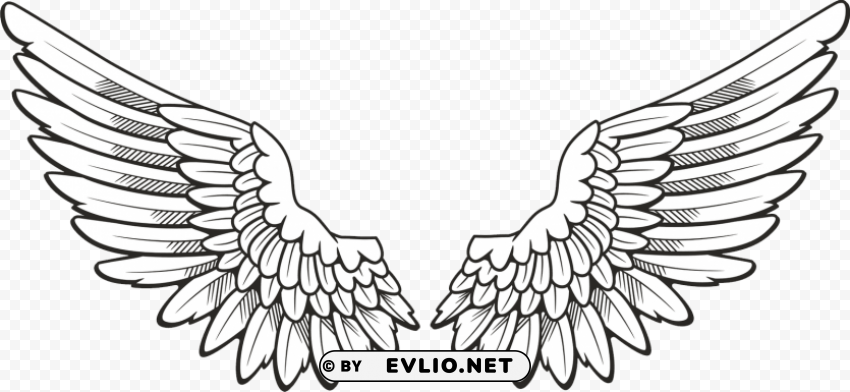 white wings Clear PNG images free download clipart png photo - 50f2c530