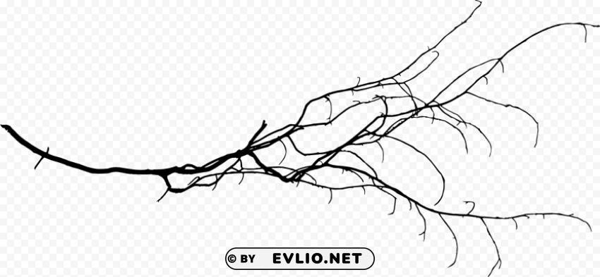 tree branch Isolated Design Element in PNG Format