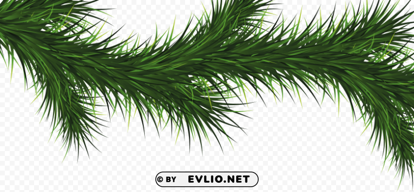fir tree Isolated Item with HighResolution Transparent PNG