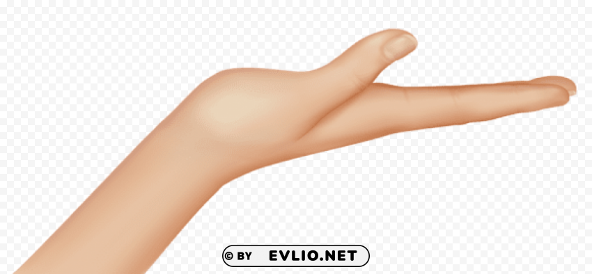 hand PNG Image Isolated with Clear Transparency