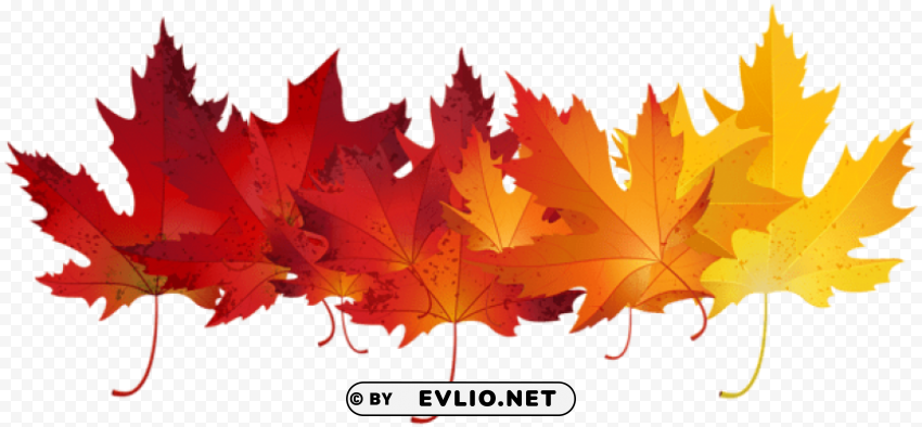 red autumn leaves transparent PNG images with no background essential