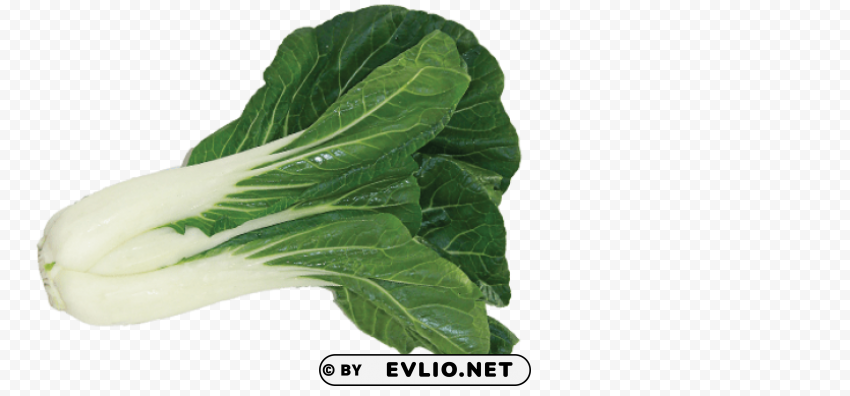 bok choy image Isolated Subject on Clear Background PNG