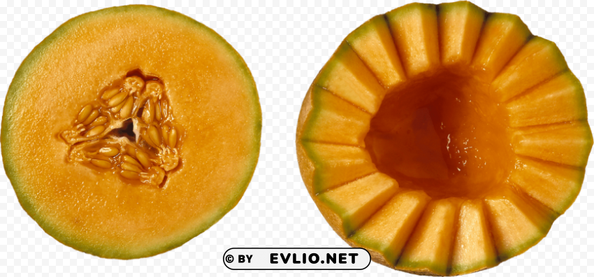 melon PNG transparent design bundle