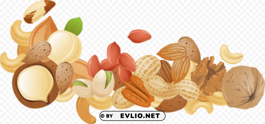 nuts PNG transparent photos for presentations