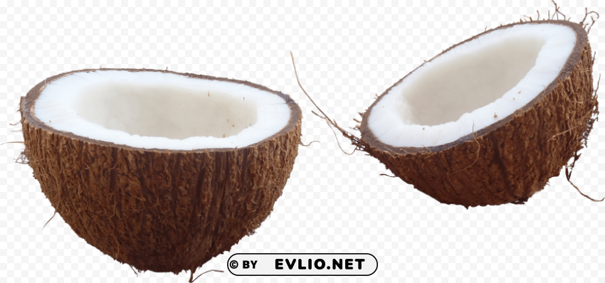 coconut PNG files with clear background bulk download