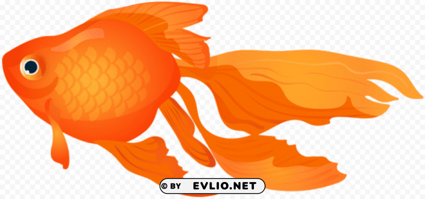 goldfish transparent Clear Background PNG Isolated Subject
