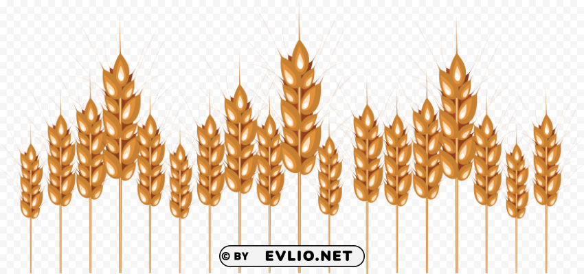 Wheat PNG images with alpha transparency wide collection