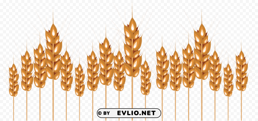 PNG image of Wheat PNG images with alpha transparency wide collection with a clear background - Image ID 80b5ec69