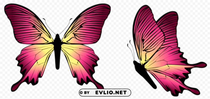 Butterfly PNG Images With Alpha Channel Diverse Selection