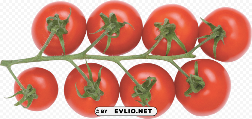 tomatoes Transparent PNG images bundle