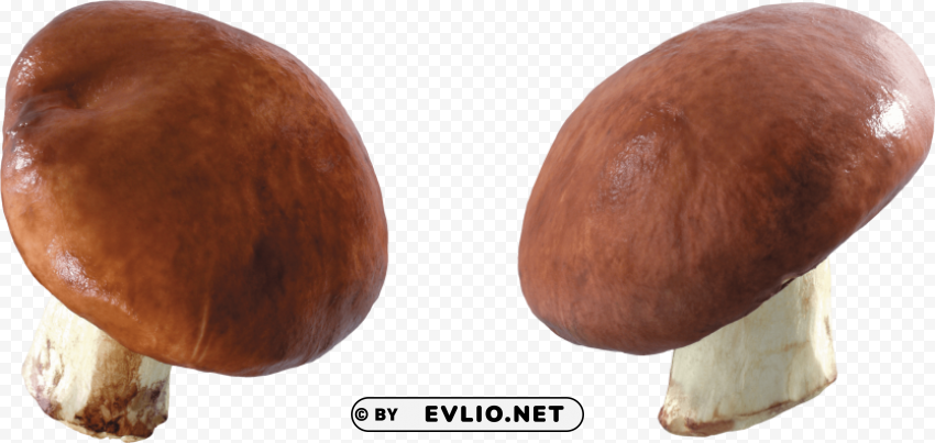 PNG image of mushroom PNG Isolated Object with Clarity with a clear background - Image ID e59308c9