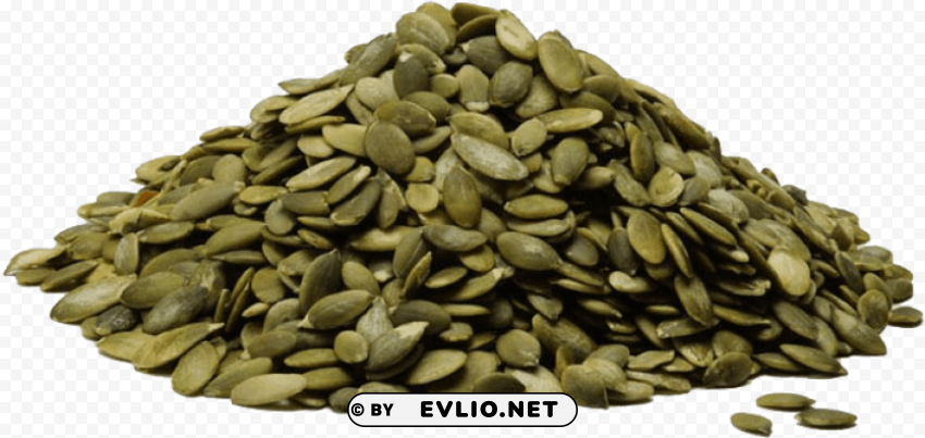 pumpkin seed benefits Isolated Illustration in Transparent PNG