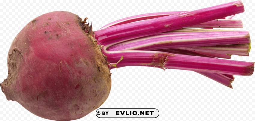 beet Free PNG images with transparent layers